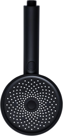 Душевая лейка Allen Brau Priority 5.31B20-31 черный