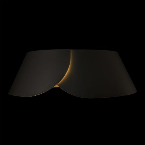 Светильник потолочный Loft It Lane 10370 Black - фото 4