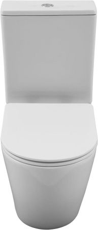 Чаша унитаза напольная Aquanet Cetus Cetus 2.0 C1 цвет белый без бачка с сиденьем микролифт безободковая каскадный смыв