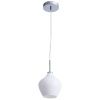 Светильник подвесной Arte Lamp Bicchiere (Биццхиере) A4283SP-1CC