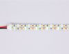 Светодиодная лента Ambrella Light LED Strip 12V (ЛЕД Стрип 12В) GS1601