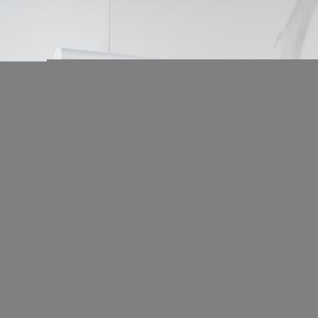 Смеситель для кухни Shevanik S468C на мойку белый