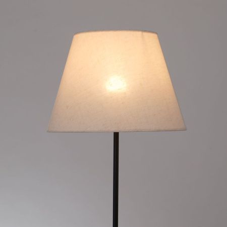 Торшер Arte Lamp ALEA (АЛЕА) A5068PN-1BK