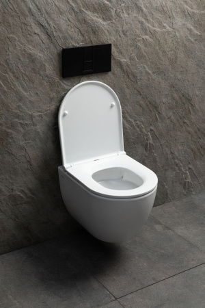 Чаша унитаза подвесная Allen Brau Priority Tornado 4.31008.20 цвет белый без сиденья безободковая душевой смыв