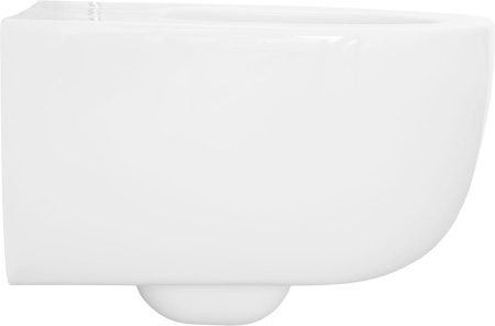 Чаша унитаза подвесная Allen Brau Priority 4.31002.20 цвет белый без сиденья безободковая каскадный смыв
