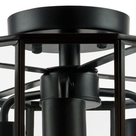 Люстра потолочная Lightstar Genni (Генни) 798237
