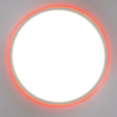 Светильник потолочный Citilux Norma (Норма) CL749400