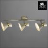 Спот Arte Lamp Baltimore (Балтиморе) A1406PL-3WG
