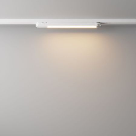 Трековый светодиодный светильник Maytoni Technical Basis TR000-1-12W3K-W