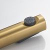Гигиенический душ со смесителем Shevanik S99 S9905G-1 золото