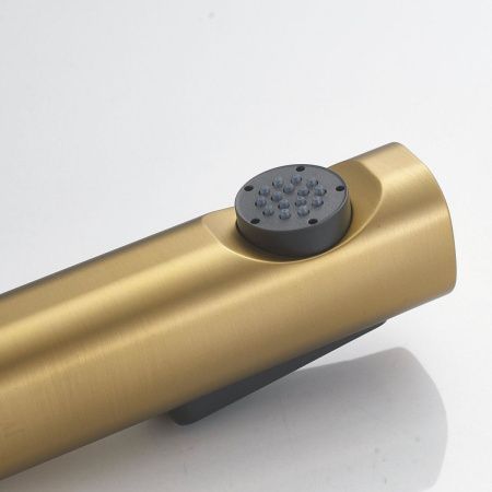 Гигиенический душ со смесителем Shevanik S99 S9905G-1 золото