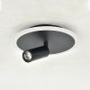 Настенно-потолочный светильник Escada 20046led 20046SMA/01LED BK