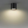 Уличный потолочный светильник Odeon Light Oben (Обен) 7129/8CL