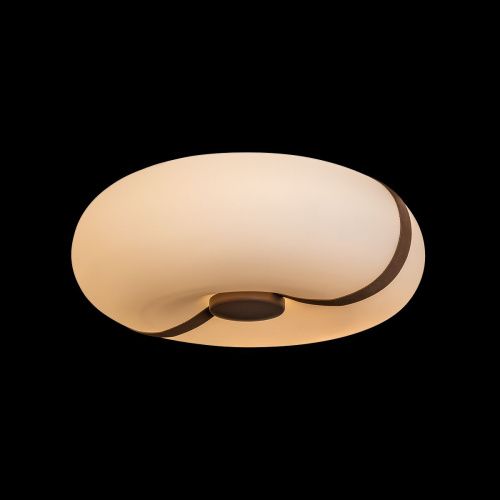 Светильник потолочный Loft It Bolina 10473 - фото 2