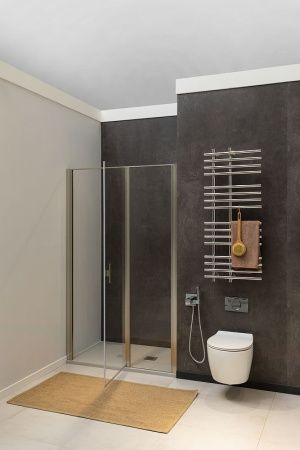 Душевая дверь Allen Brau Priority 3.31029.BA 100х200 стекло прозрачное профиль серебро