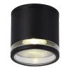 Уличный потолочный светильник ST Luce Tubo (Тубо) SL9009.402.01