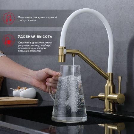 Смеситель для кухни Raglo R81 R81.62.03 на мойку золото