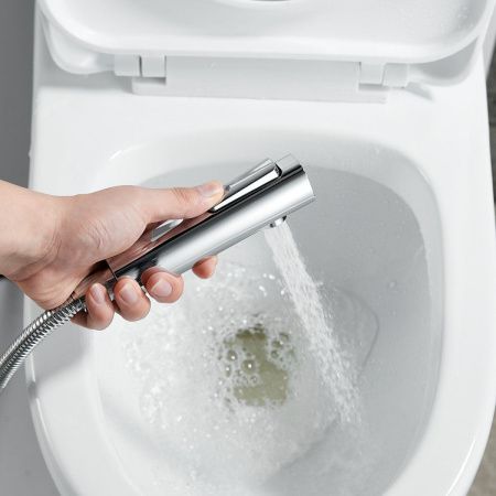 Гигиенический душ со смесителем Raffine F0599-1 хром