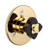 Переключатель потоков THG Petale de Cristal noir U6D-F01-48M2SB (внешняя часть)