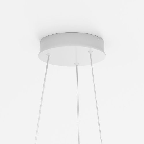 Светильник подвесной Maytoni Rim Modern MOD058PL-L32WK - фото 5
