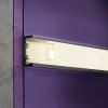 Светодиодная лента Maytoni Led Strip 10120