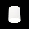 Светильник потолочный ST Luce Rene (Рене) ST113.542.05