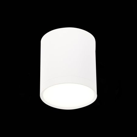 Светильник потолочный ST Luce Rene (Рене) ST113.542.05