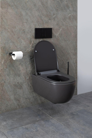 Чаша унитаза подвесная Allen Brau Priority 4.31001.AN цвет черный без сиденья безободковая каскадный смыв