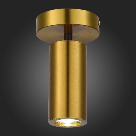 Светильник потолочный ST Luce Talia (Талиа) SL1215.402.01