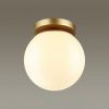 Светильник потолочный Odeon Light Bosco (Босцо) 4247/1C
