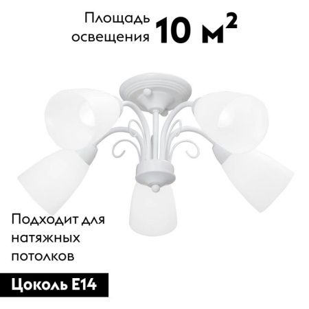 Люстра потолочная Vitaluce V3499 V3499-0/5PL