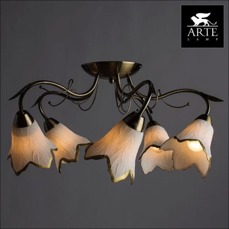 Люстра потолочная Arte Lamp Barbara (Барбара) A6066PL-5AB