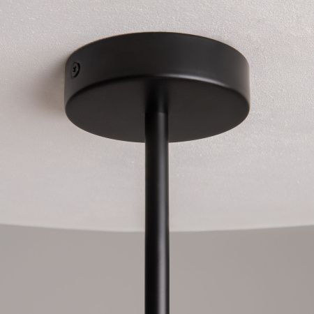 Люстра на штанге Maytoni Organic Modern MOD225PL-04B