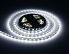 Светодиодная лента Ambrella Light illumination (иллуминатион) GS4003