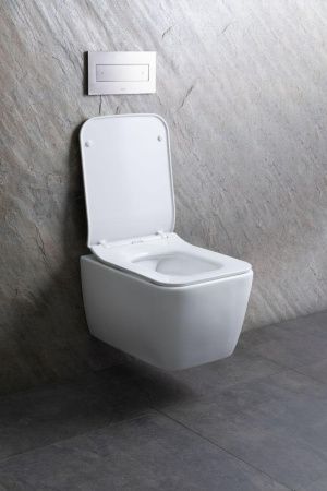 Чаша унитаза подвесная Allen Brau Liberty 4.33007.21 цвет белый без сиденья безободковая каскадный смыв