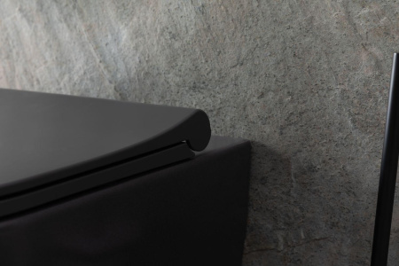 Чаша унитаза подвесная Allen Brau Priority 4.31001.AN цвет черный без сиденья безободковая каскадный смыв