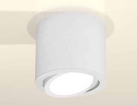 Светильник накладной Ambrella Light Techno (Тецхно) XS7401001