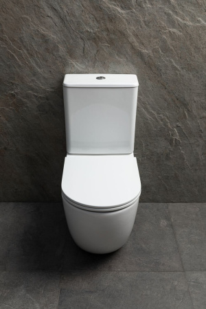 Чаша унитаза подвесная Allen Brau Priority Tornado 4.31006.20 цвет белый без сиденья безободковая душевой смыв