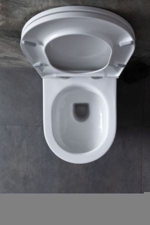 Комплект унитаз с инсталляцией и клавишей смыва Allen Brau Reality 00316510