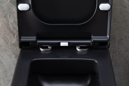 Чаша унитаза подвесная Allen Brau Infinity 4.21011.31 цвет черный матовый без сиденья безободковая каскадный смыв