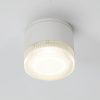 Уличный потолочный светильник Arte Lamp Piautos (Пиаутос) A1926PF-1WH