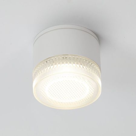 Уличный потолочный светильник Arte Lamp Piautos (Пиаутос) A1926PF-1WH