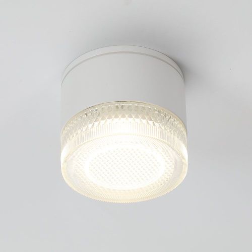 Уличный потолочный светильник Arte Lamp Piautos (Пиаутос) A1926PF-1WH - фото 2