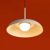 Светильник подвесной Freya Movement (Движение) FR5602PL-L5W1
