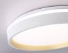 Светильник потолочный Ambrella Light Dance (Данце) FZ601