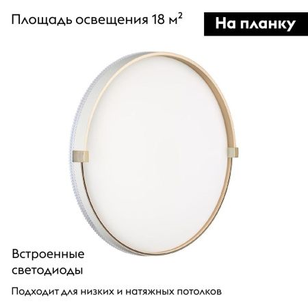 Настенно-потолочный светильник Sonex Olidi white (Олиди вхите) 7646/DL