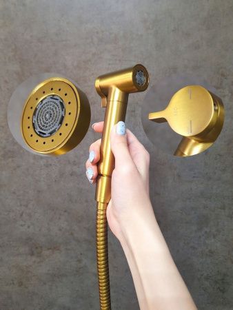 Гигиенический душ со смесителем AltroBagno Modern AltroBagnoModern060117BG золото