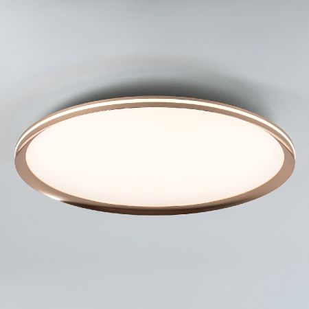 Светильник потолочный LED4U L3020-600 GD