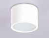 Светильник накладной Ambrella Light IP Protect (ИП Протецт) TN6550