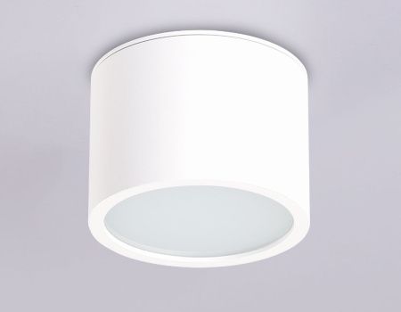 Светильник накладной Ambrella Light IP Protect (ИП Протецт) TN6550
